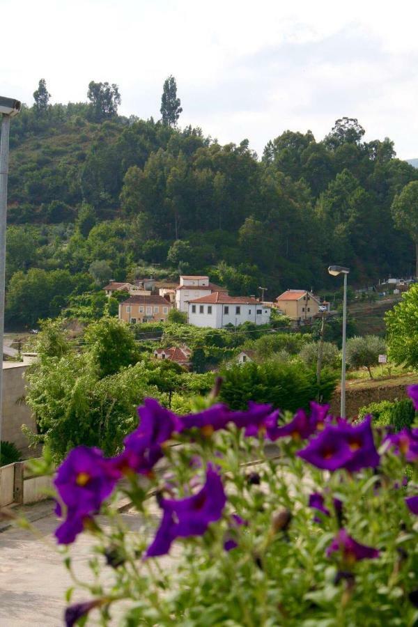 Casa No Douro Pensionat Mesão Frio Exteriör bild